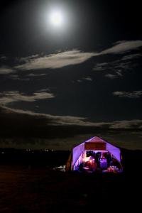 Whirl-y-Fayre 2015 (13)